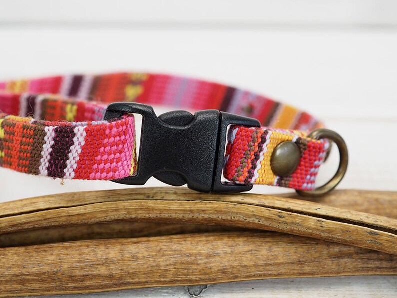 Cat Collar Dog Collar Vegan Collar Small Dog Collar Etsy