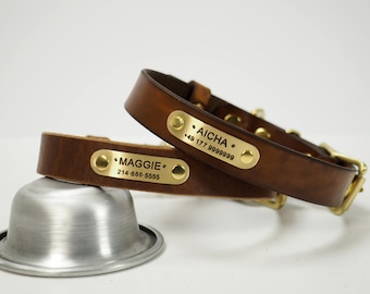 Dog Collars