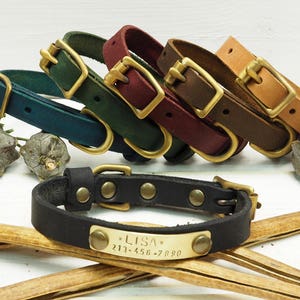 K&ouml;nnte beinhalten: F&uuml;nf Lederhundehalsb&auml;nder in verschiedenen Farben, darunter t&uuml;rkis, gr&uuml;n, burgunderrot, braun und beige. Jedes Halsband hat eine Messing-Schnalle und einen Messing-D-Ring. Ein schwarzes Lederhalsband mit einer Messing-Schnalle und einem Messing-Schild mit der Aufschrift "LISA 213-456-7890" befindet sich im Vordergrund.