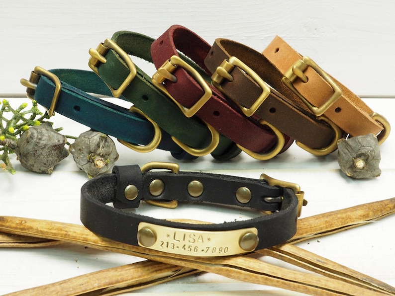 K&ouml;nnte beinhalten: F&uuml;nf Lederhundehalsb&auml;nder in verschiedenen Farben, darunter t&uuml;rkis, gr&uuml;n, burgunderrot, braun und beige. Jedes Halsband hat eine Messing-Schnalle und einen Messing-D-Ring. Ein schwarzes Lederhalsband mit einer Messing-Schnalle und einem Messing-Schild mit der Aufschrift "LISA 213-456-7890" befindet sich im Vordergrund.