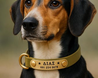 Waterproof Vegan Leather Dog Collar: Personalized Engraved Solid Brass ID Tag, Handmade