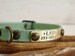 Cat Collar, Dog Collar, Cork Webbing Collar,  Breakaway Collar, Cat Collar Breakaway, Vegan Gift, Adjustable Collar, Personalized Collar, 