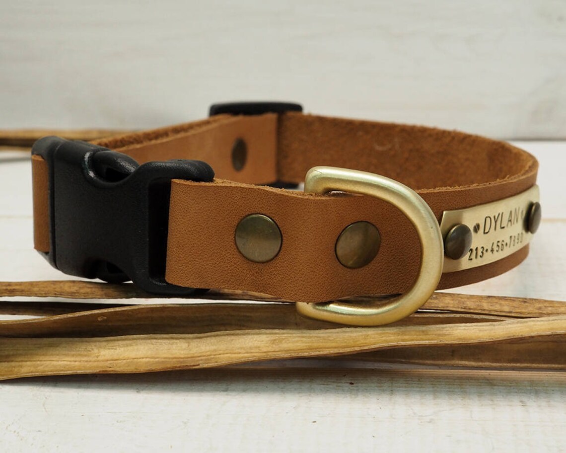 Dog Collar Leather Dog Collar Dog Collar Leather Etsy
