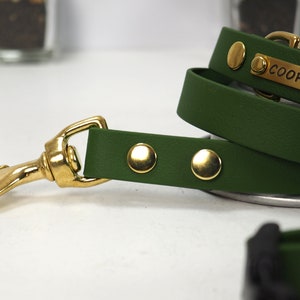 May include: A green dog lead with a gold clasp and gold accents. The lead has a name tag that reads "COOPER".