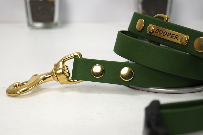 May include: A green dog lead with a gold clasp and gold accents. The lead has a name tag that reads "COOPER".