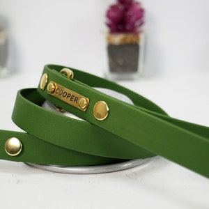 May include: A green dog lead with gold hardware and a personalised name tag that reads "COOPER".
