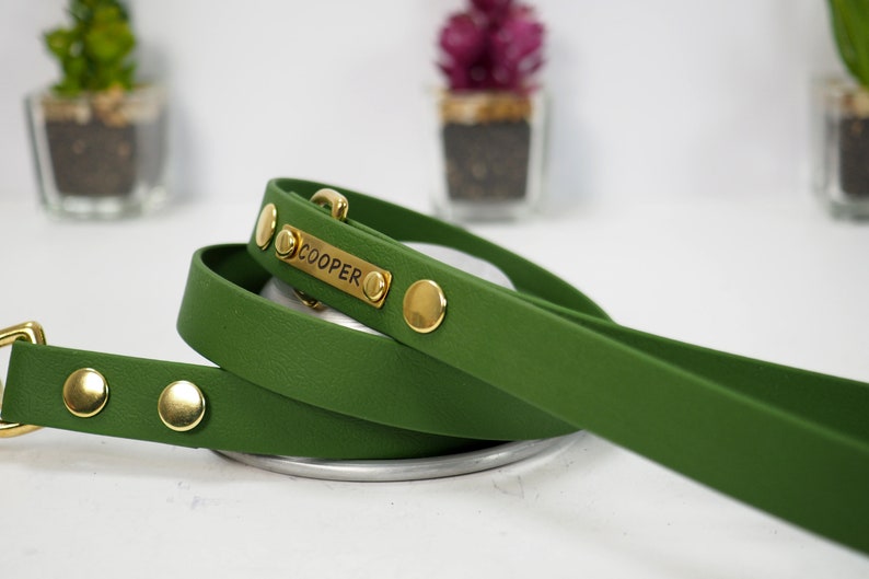 May include: A green dog lead with gold hardware and a personalised name tag that reads "COOPER".