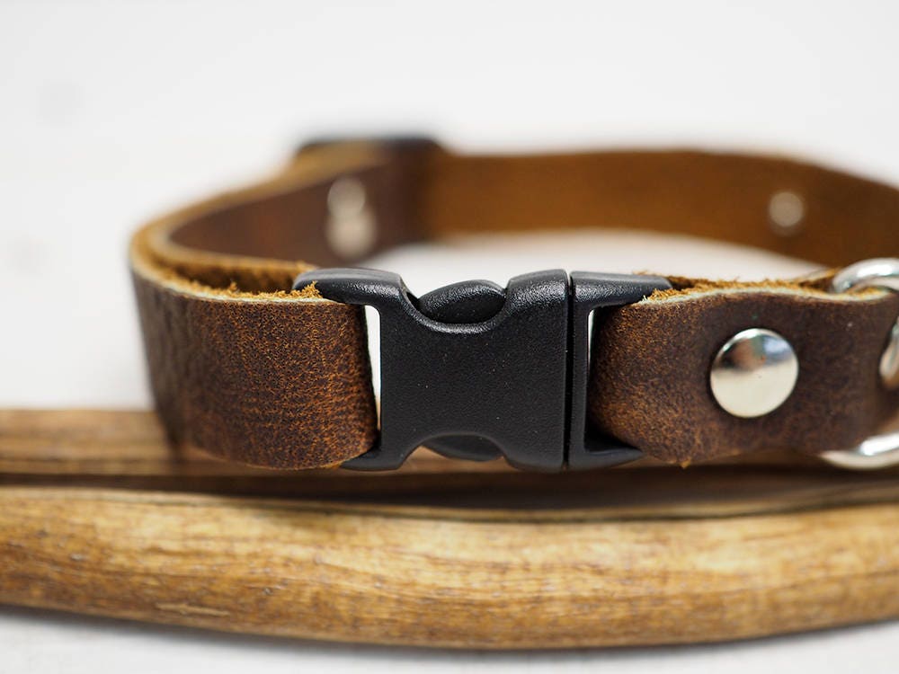 Cat & Small Dog Collar, Breakaway collar, Personalized Collar.