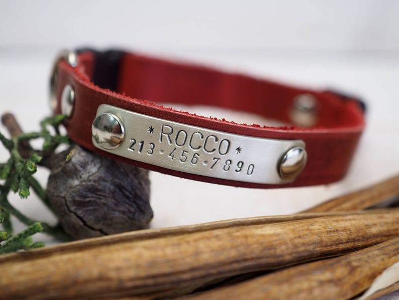 Cat Collar Cat Collar Breakaway Leather Cat Collar Etsy