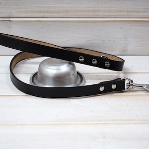 Handgefertigte Schwarz Leder Hundeleine: Starke Stahl-Hardwares