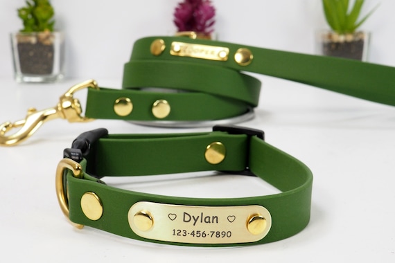 Waterproof Dog Collar & Leash Set: Personalized Vegan Leather