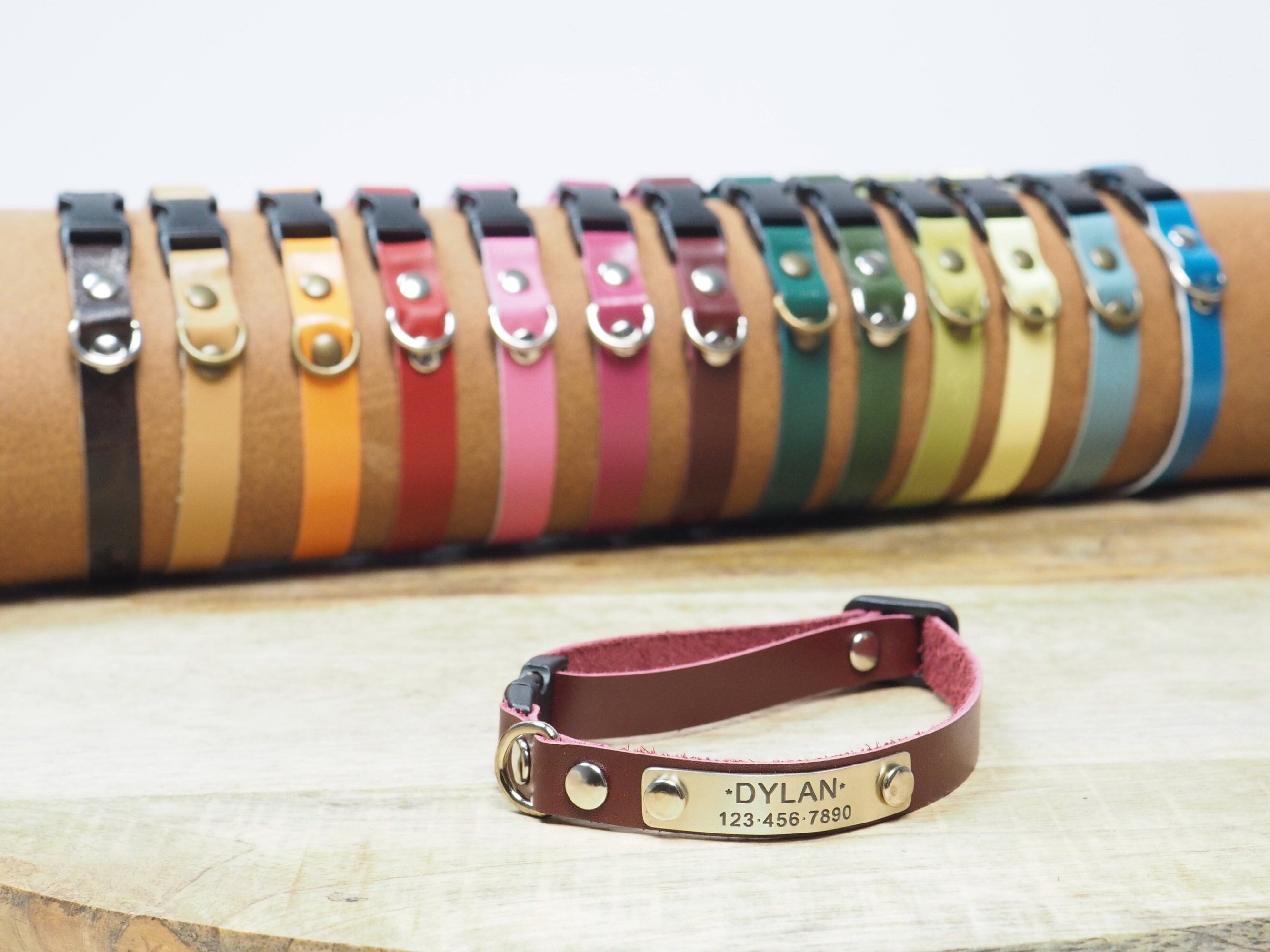 Cat collar with name and clearance number