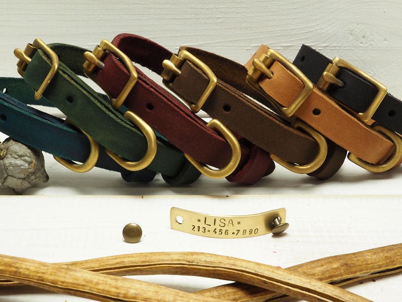 K&ouml;nnte beinhalten: F&uuml;nf Lederhundehalsb&auml;nder in verschiedenen Farben, darunter t&uuml;rkis, gr&uuml;n, burgunderrot, braun und schwarz. Jedes Halsband hat eine Messing-Schnalle und einen Messing-D-Ring. Ein kleines Messing-Schild mit dem Text "LISA* 213-456-7890" befindet sich im Vordergrund.