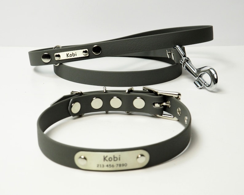 Ensemble collier et laisse pour chien imperméable, combo collier et laisse en cuir végétalien pour chiens, étiquette d'identification de collier de chien et laisse personnalisée, nom de collier de chien image 9