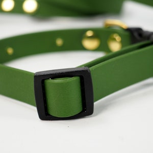 May include: A green rubber dog collar with a black buckle. The collar has gold metal accents.