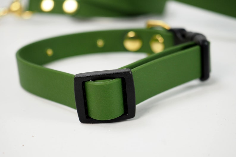 May include: A green rubber dog collar with a black buckle. The collar has gold metal accents.