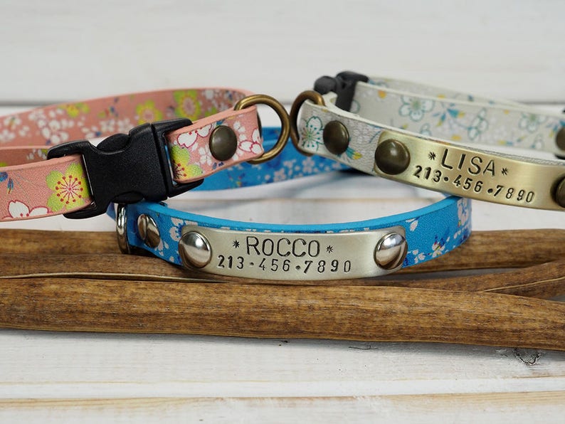 Cat Collar Dog Collar Small Dog Collar Breakaway Collar Etsy