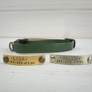 Cat Collar Breakaway, Green Cat Collar, Leather cat Collar, Breakaway Cat Collar, Dog Collar, Small Dog Collar, Personalized dog collar