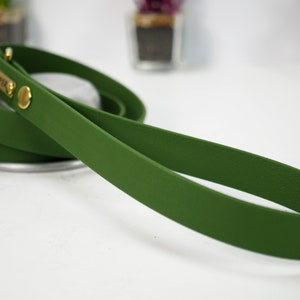 May include: A green leather dog lead with a gold metal buckle and a name tag.