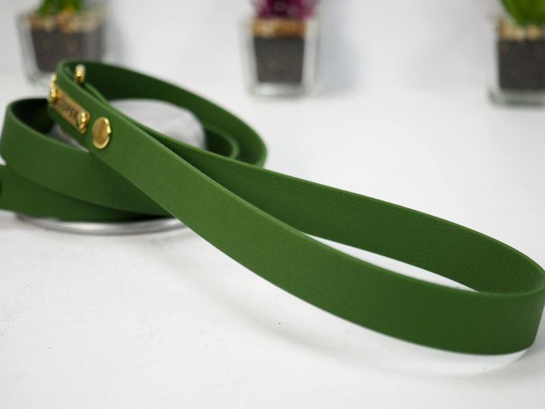 May include: A green leather dog lead with a gold metal buckle and a name tag.