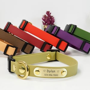 May include: A set of colourful dog collars with a gold buckle and a personalised name tag. The name tag reads "Dylan" and includes a phone number. The collars are made of a soft, durable material and are available in a range of colours.