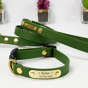 May include: Green dog collar and lead set with gold hardware and personalised name tags. The collar has the name "Dylan" and phone number "123-456-7890". The lead has the name "Cooper" on the tag.