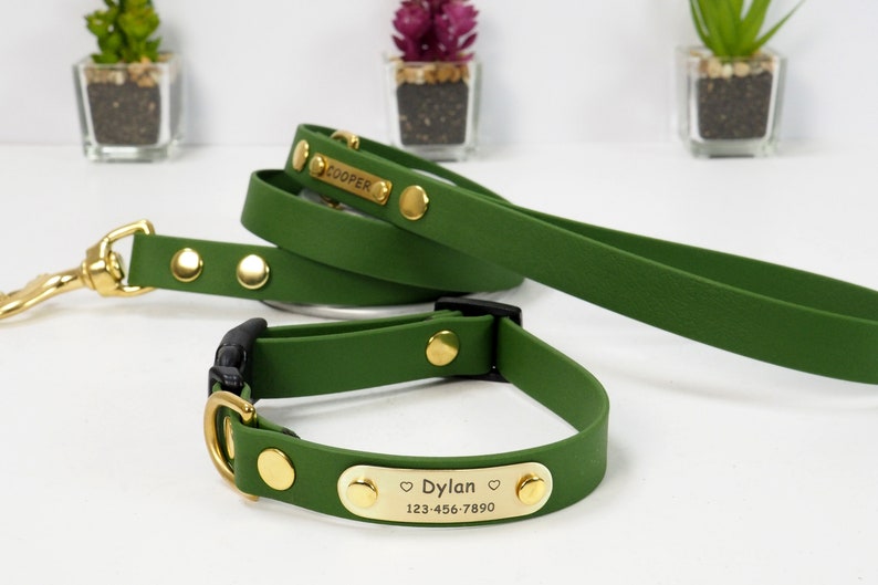 May include: Green dog collar and lead set with gold hardware and personalised name tags. The collar has the name "Dylan" and phone number "123-456-7890". The lead has the name "Cooper" on the tag.