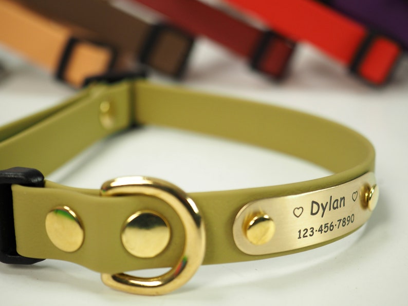 Dog Collar & Leash Waterproof Dog Collar Adjustable Collar Etsy Canada