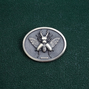 Lucan kite beetle brooch, insect jewelry, entomology, sterling silver | Lucanus