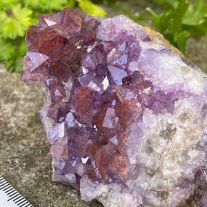Amethyst Crystal | Amethyst Specimen| Red Hematite Speckled CANADIAN AMETHYST Plum Amethyst Thunder Bay Amethyst | Red AMETHYST