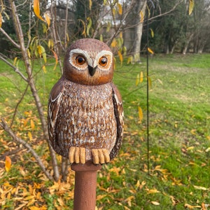 Owl hiking staff, hiking stick, walking staff, walking stick, treking pole, walking cane, wood hiking stick, walking staff, custom cane
