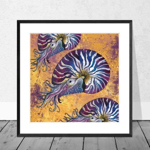 Nautilus art print  (P0075)