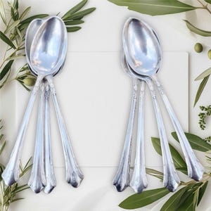 May include: A collection of silver spoons arranged on a white surface, with olive branches and olives in the background. The spoons have a decorative handle design. The spoons are a classic silverware set.