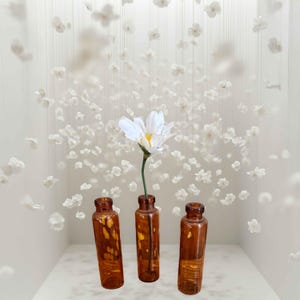 May include: Three amber glass bottles with a single white flower in the center bottle. The bottles are arranged in a row on a white surface. The background is a white wall with white flowers hanging from the ceiling.