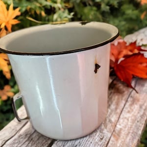 May include: A white enamel mug with a black rim and handle. The mug has some rust spots and is set against a backdrop of fall foliage, including orange and red leaves. The mug is sitting on a wooden surface.