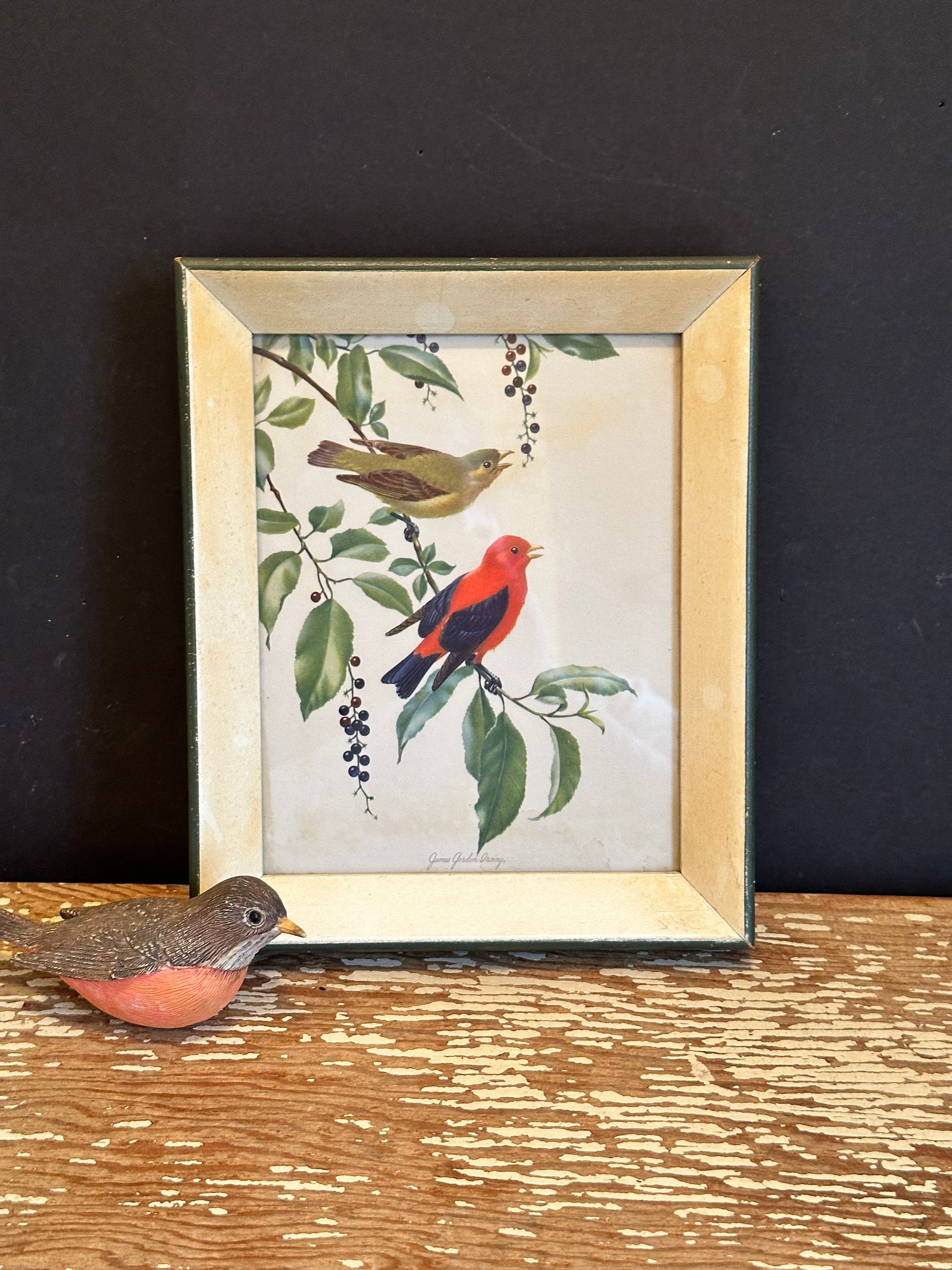 James Gordon Irving Framed Bird Print,scarlet Tangers,audubon