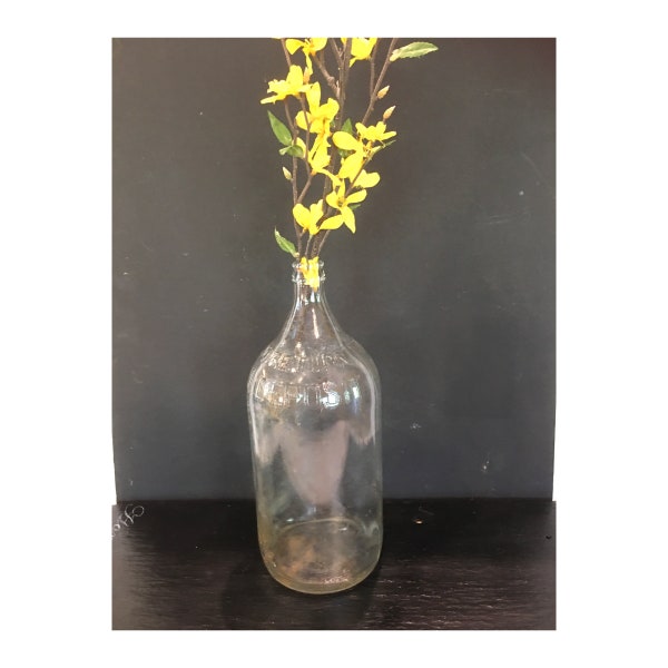 One half gallon clear glass bottle,large glass jar,flower vase,storage,extra large jar,decor,fireplace decor,wine bottle,11" tall beverage