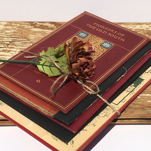 Puede incluir: Una pila de cuatro libros antiguos de tapa dura con cubiertas rojas y letras doradas. El libro de arriba tiene el título "Pioneers of the Old South". Una flor marrón con hojas verdes está atada alrededor de los libros con cuerda.