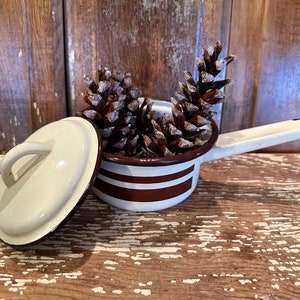 May include: A small white enamel saucepan with a brown stripe design and a lid. The saucepan is filled with pine cones.