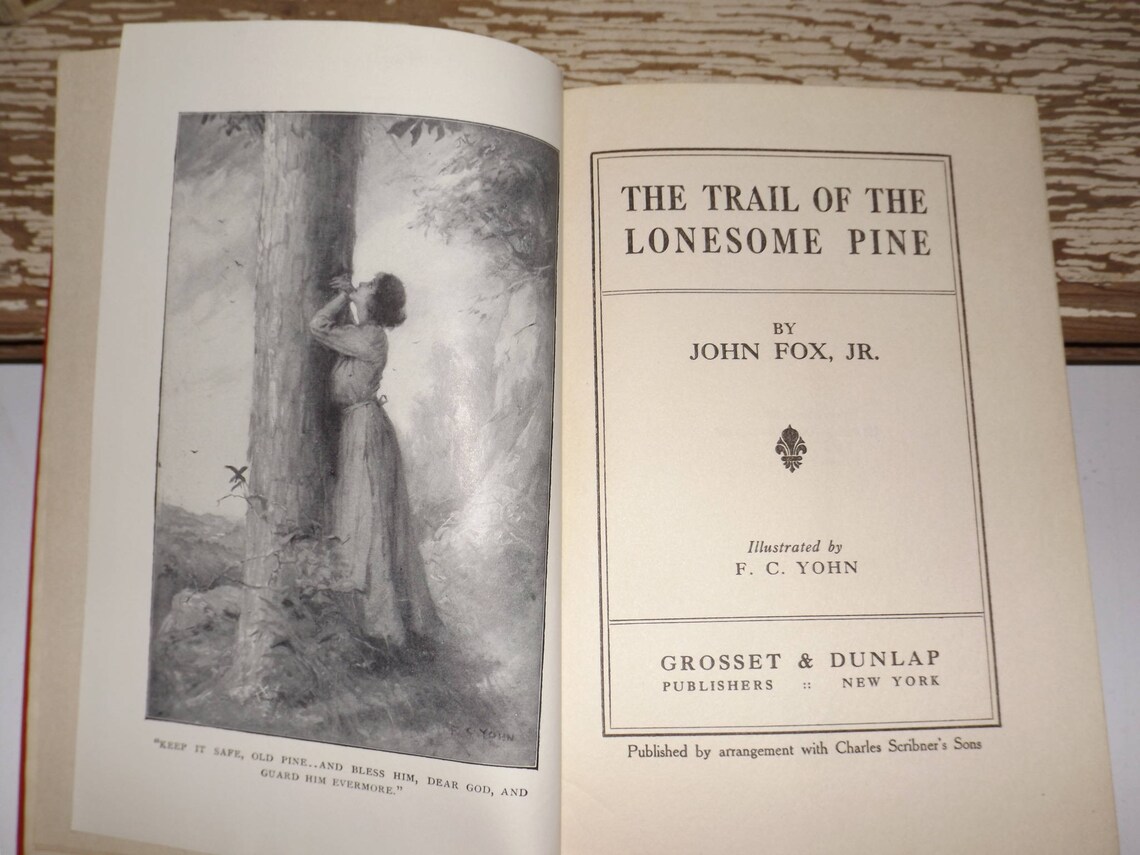 the trail of the lonesome pine book 1908 the trail of the lonesome pine book 1908