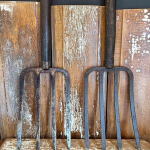 May include: Two antique garden forks with dark metal tines and wooden handles. The forks have four tines each and show signs of wear, suggesting they are vintage tools. The handles are a light brown color.