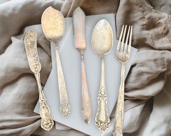 Juego de 5 utensilios para servir pequeños deslustrados, bañados en plata, cuchara, esparcidor de queso, cuchara para azúcar, floral, cocina de granja, pátina, envejecido