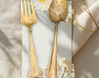 Utensilios para servir con mango largo deslustrado, plateado, cuchara ranurada, tenedor para carne, floral, cocina de granja, utensilios, juego de 2, Reed Barton, Rogers Bro