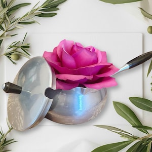 May include: A silver ashtray with a dark handle and a bright pink rose. The ashtray is open, revealing the rose inside. A small silver spoon rests on the rim. Olive branches and leaves surround the ashtray.