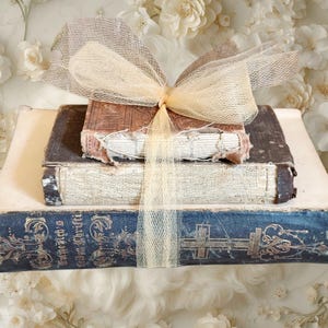 May include: A stack of three antique books tied with a sheer, cream-colored ribbon. The books have aged, distressed covers in shades of brown and blue. The background is filled with white flowers.