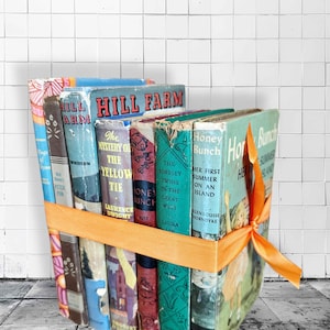 May include: A collection of vintage children's books tied together with an orange ribbon. The books have colorful covers with titles like "Hill Farm" and "Honey Bunch". The books are stacked on a tiled surface.