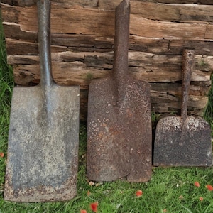 Puede incluir: Tres palas metálicas antiguas de diferentes tamaños, dispuestas sobre hierba verde contra un fondo de madera envejecida. Las palas muestran un aspecto rústico y envejecido con óxido y desgaste visibles.