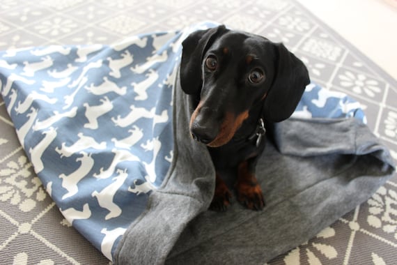 dog snuggle sack