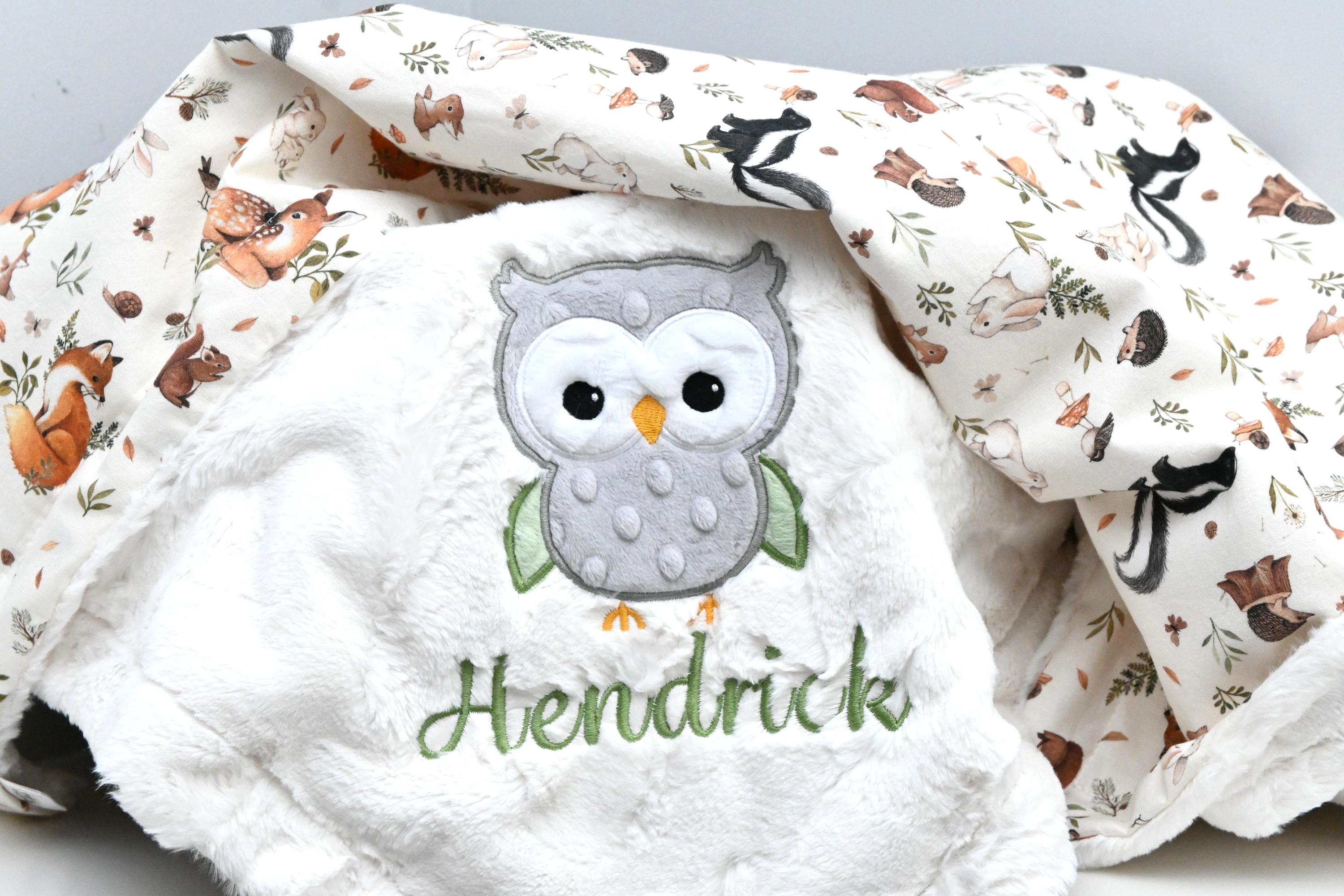 Owl Personalized Minky Boy Baby Blanket-Owl baby blanket-Personalized Baby Minky blanket-Minky Owl B