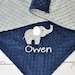 see more listings in the Applique Babydecke section